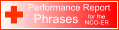 performance report phrases