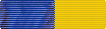 Delaware National Guard Medal