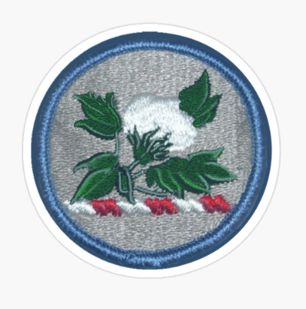 Alabama National Guard Patch