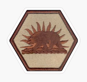 California National Guard Patch