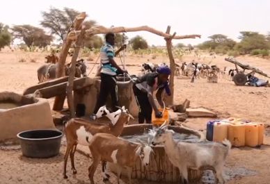 Drawing water in Kenya