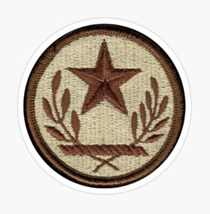 Texas National Guard Patch